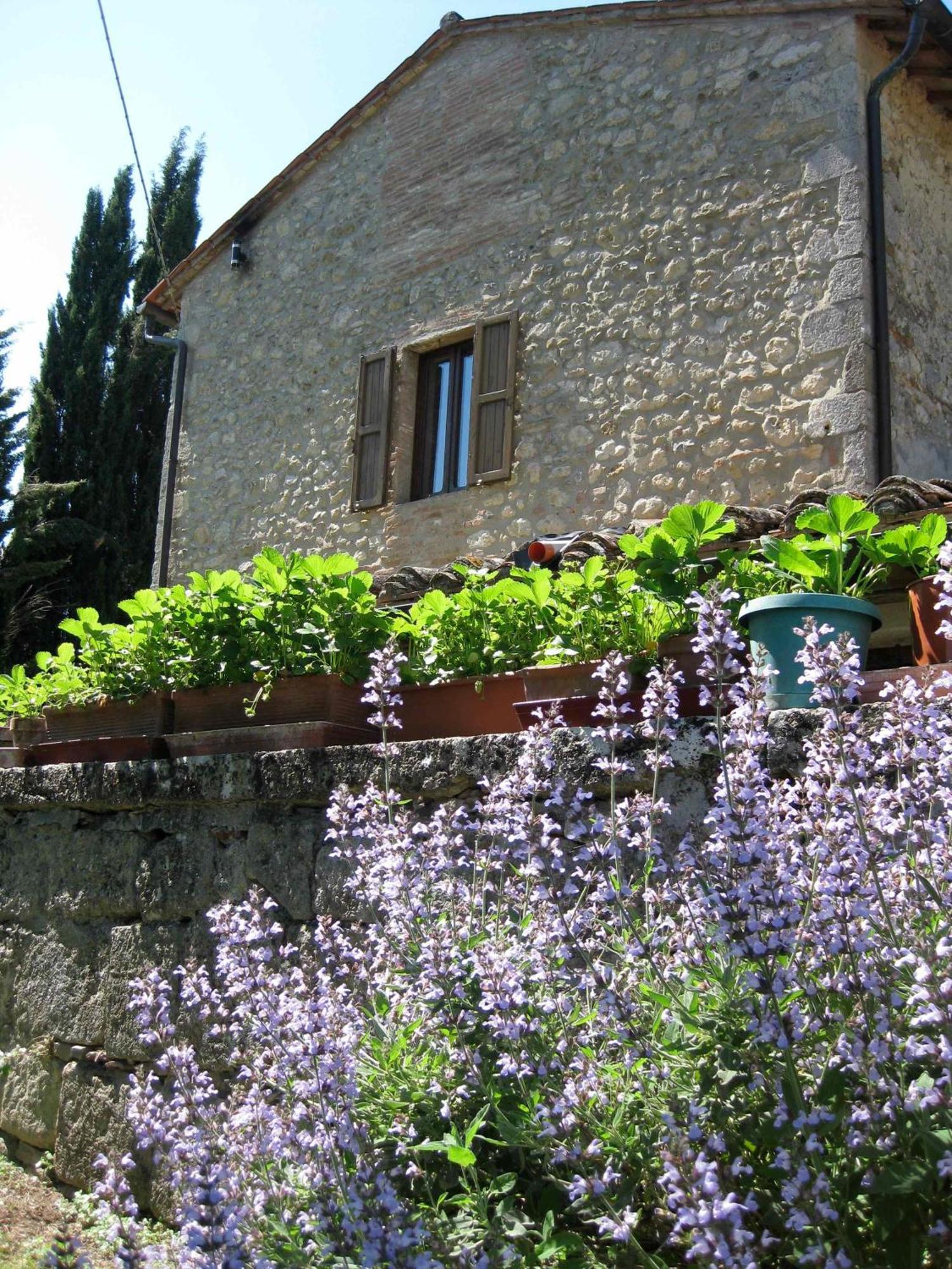 Agriturismo Il Caio Cetona Zewnętrze zdjęcie