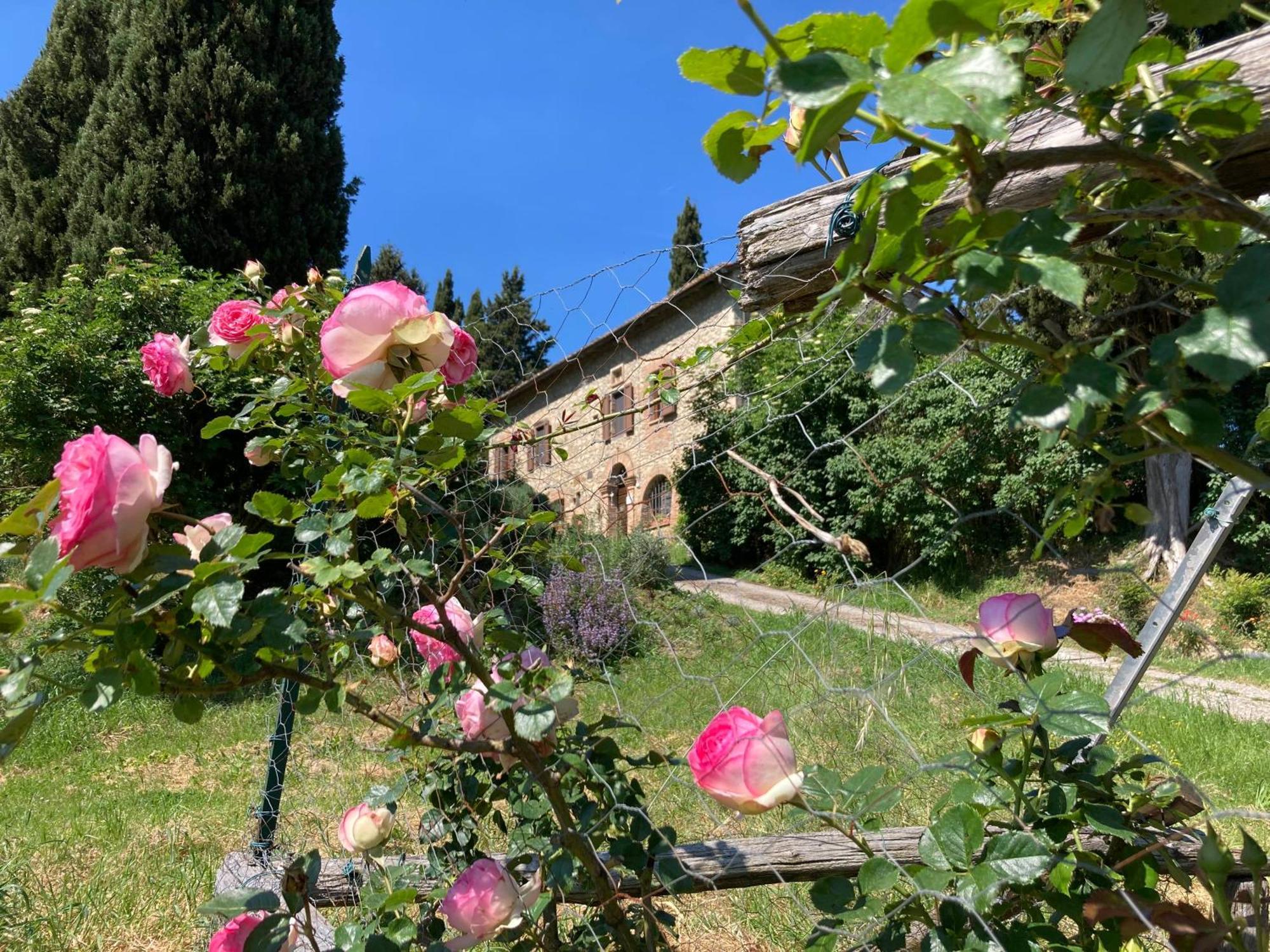 Agriturismo Il Caio Cetona Zewnętrze zdjęcie