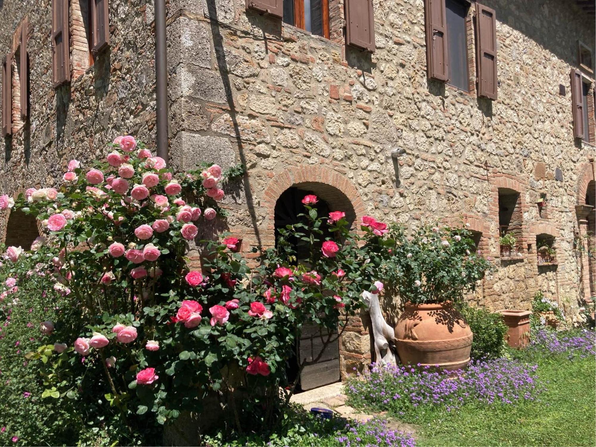 Agriturismo Il Caio Cetona Zewnętrze zdjęcie
