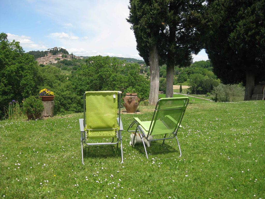 Agriturismo Il Caio Cetona Zewnętrze zdjęcie