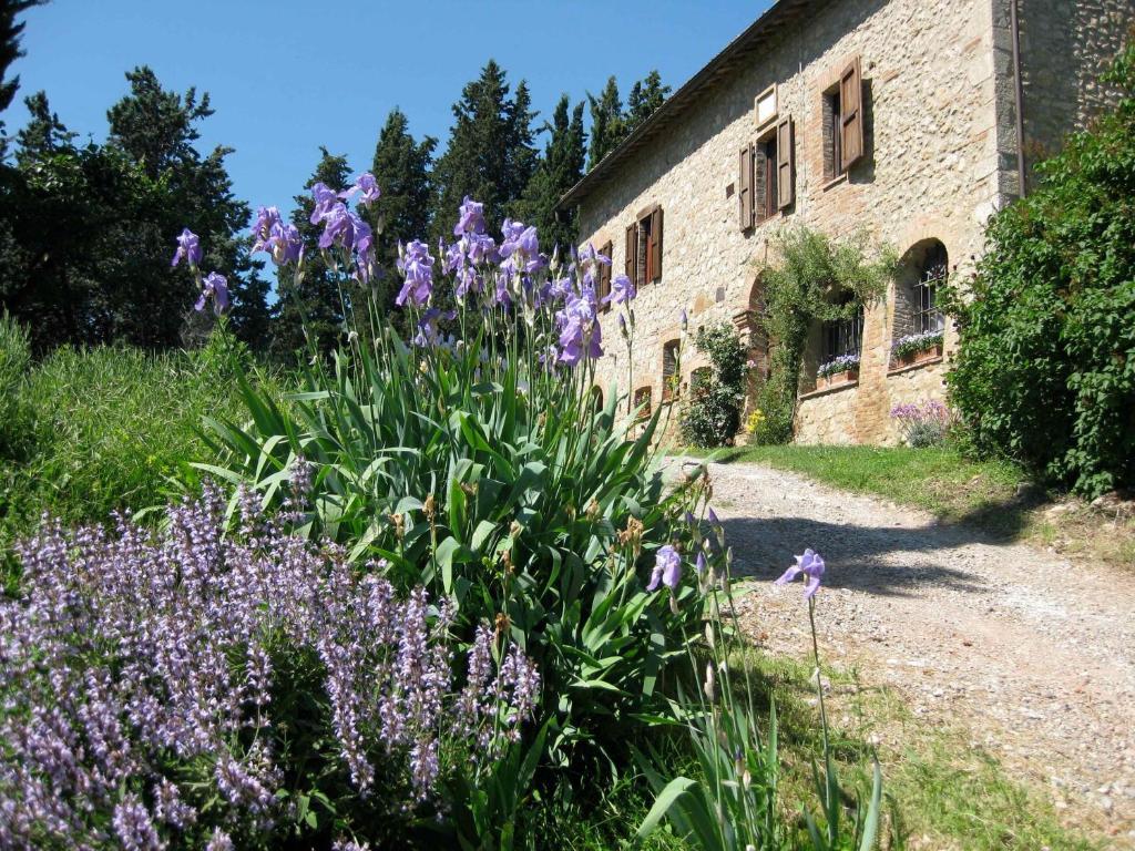 Agriturismo Il Caio Cetona Zewnętrze zdjęcie