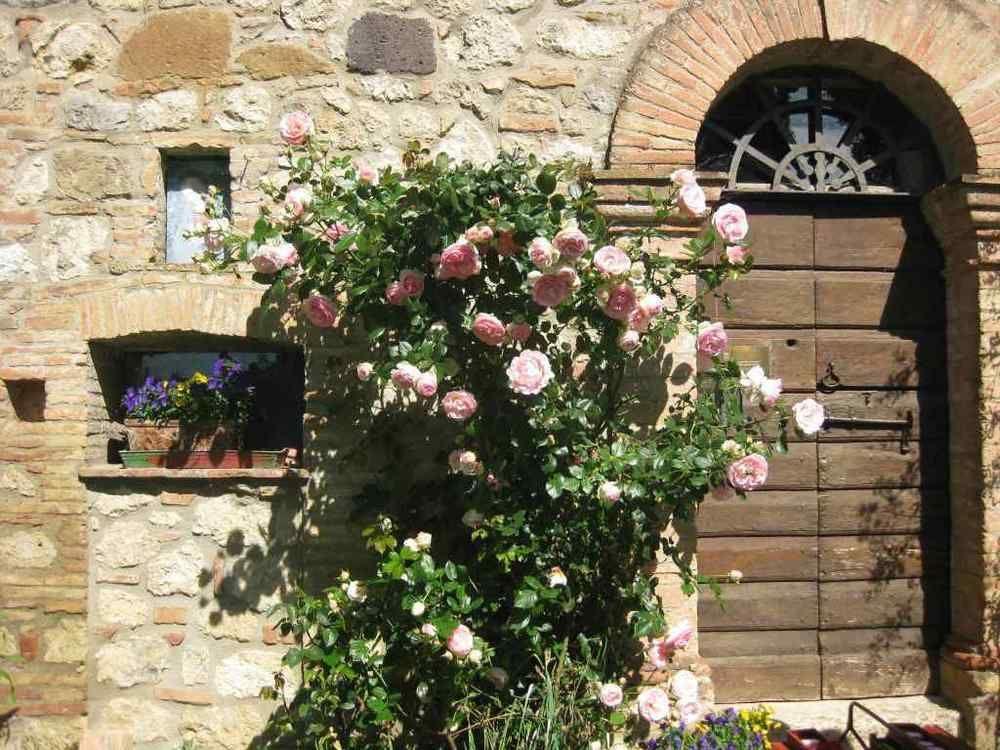 Agriturismo Il Caio Cetona Zewnętrze zdjęcie
