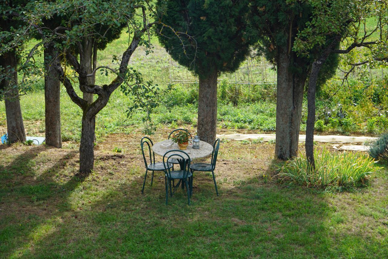 Agriturismo Il Caio Cetona Zewnętrze zdjęcie